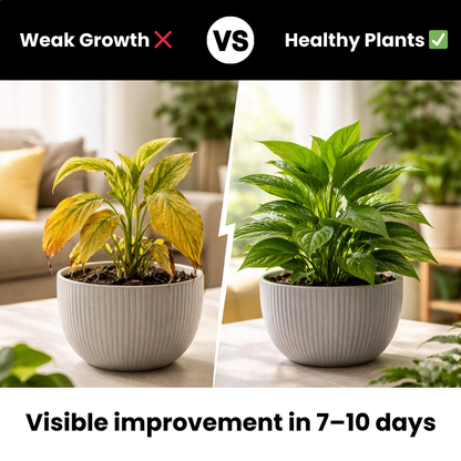 Complete Gardening Starter Kit for Home & Balcony Gardens | Budget Friendly Organics