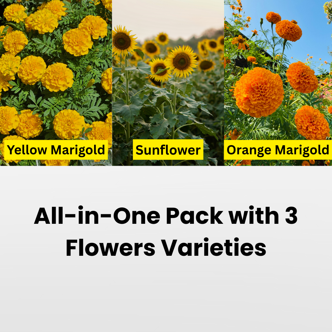 Flower Garden Combo for Home & Balcony Gardening | Budget Friendly Organics