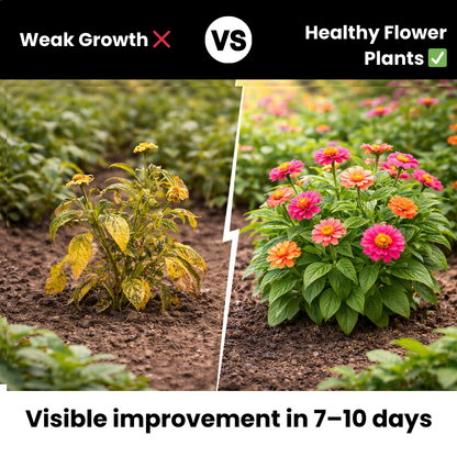 Soil & Plant Growth Combo for Pots & Home Gardening | Budget Friendly Organics