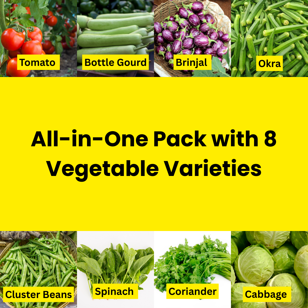 Vegetable Garden Starter Combo for Home Gardening | Budget Friendly Organics