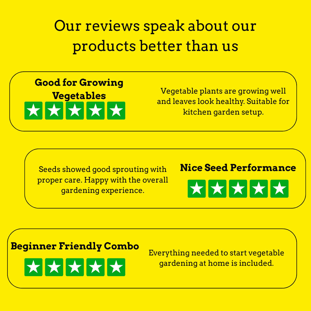 Vegetable Garden Starter Combo for Home Gardening | Budget Friendly Organics