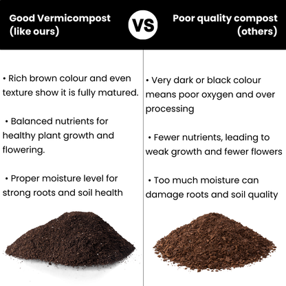 Organic plant growth Vermicompost