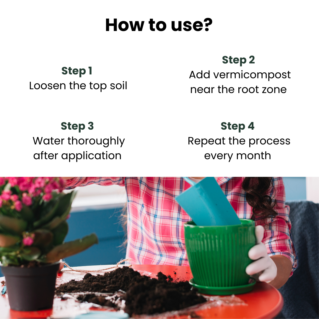 Organic plant growth Vermicompost